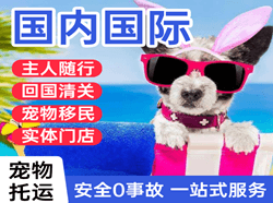 运城航空货运国际宠物托运 【国